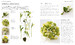 Flower Arranging дополнительное фото 3.