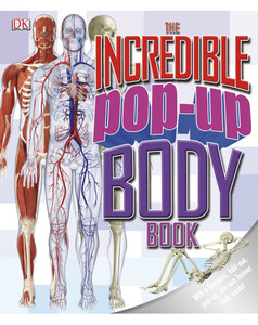 Книги про человеческое тело: The Incredible Pop-Up Body Book