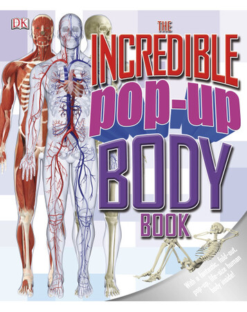 Для младшего школьного возраста: The Incredible Pop-Up Body Book