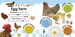 First Facts Farm (eBook) дополнительное фото 1.