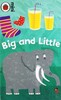 Early Learning: Big and Little