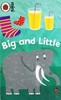 Early Learning: Big and Little