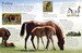 Horses and Ponies - Dorling Kindersley дополнительное фото 1.