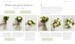 Simple Flower Arranging дополнительное фото 2.