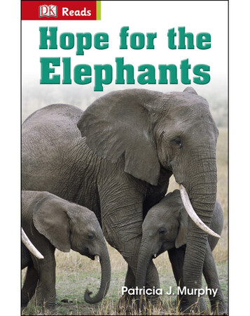 Животные, растения, природа: Hope for the Elephants