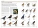 RSPB Birds of Britain & Europe 4th Edition дополнительное фото 1.