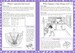 Science Made Easy Ages 8–9 Key Stage 2 дополнительное фото 1.