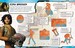 Star Wars Rebels Rebel Adventures Ultimate Sticker Book дополнительное фото 1.