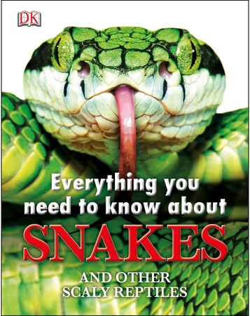 Для молодшого шкільного віку: Everything You Need to Know About Snakes