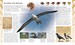 RSPB Birdwatching for Beginners дополнительное фото 1.