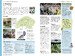 DK Eyewitness Travel Family Guide Rome дополнительное фото 2.