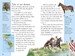 Horse Heroes (eBook) дополнительное фото 1.