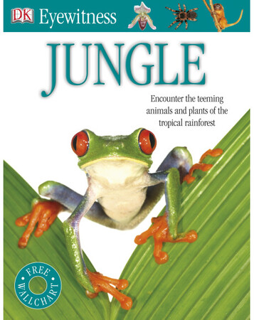 Для середнього шкільного віку: Jungle - by Dorling Kindersley