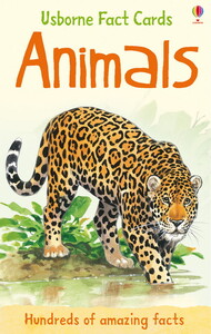 Подборки книг: Animals fact cards