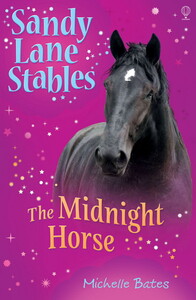 Книги для детей: The midnight horse