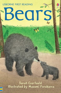 Книги про тварин: Bears Usborne Reading Programme