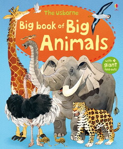 Книги для дітей: Big Book of Big Animals [Usborne]