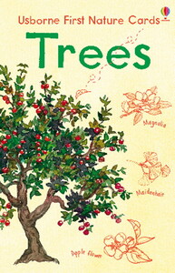Развивающие карточки: Trees nature cards