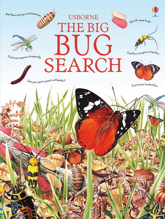 Для младшего школьного возраста: The big bug search