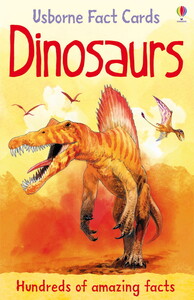 Книги про динозавров: Dinosaurs fact cards