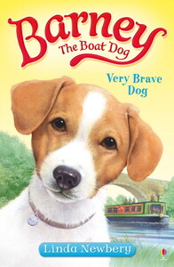 Книги для детей: Very Brave Dog