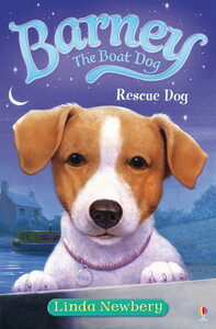 Книги для детей: Rescue Dog