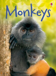 Книги про тварин: Monkeys - Usborne