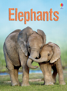 Книги про животных: Elephants