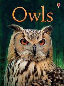 Познавательные книги: Owls