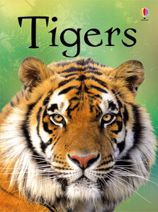 Книги для детей: Tigers