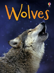 Книги для дітей: Wolves