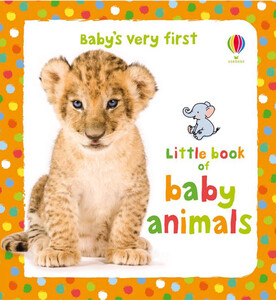 Книги про животных: Little book of baby animals