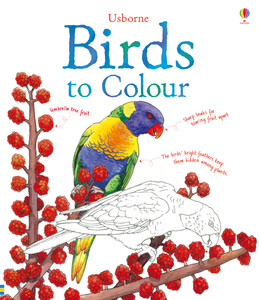 Малювання, розмальовки: Birds to colour [Usborne]