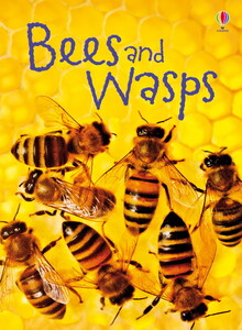 Книги для детей: Bees and wasps