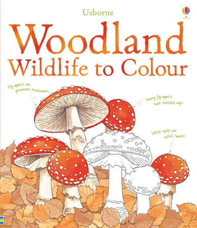 Для молодшого шкільного віку: Woodland wildlife to colour
