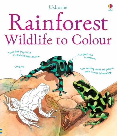 Для младшего школьного возраста: Rainforest wildlife to colour