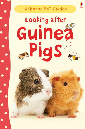 Животные, растения, природа: Looking after guinea pigs [Usborne]
