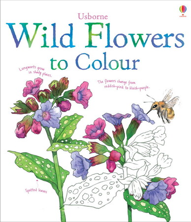 Для младшего школьного возраста: Wild flowers to colour