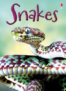 Книги про тварин: Snakes [Usborne]
