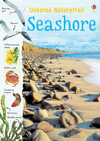 Для молодшого шкільного віку: Seashore - Usborne