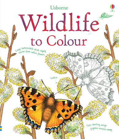 Для младшего школьного возраста: Wildlife to colour