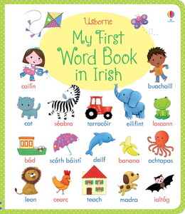 Книги для детей: My first word book in Irish [Usborne]