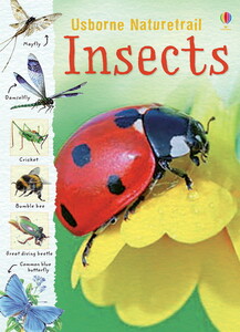 Книги для детей: Insects