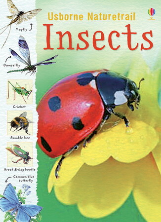 Для молодшого шкільного віку: Insects