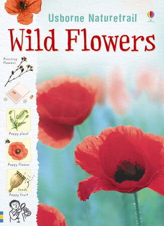 Для младшего школьного возраста: Wild flowers
