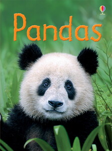 Книги для дітей: Pandas