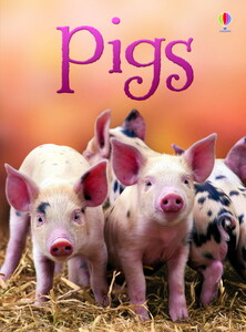 Книги для детей: Pigs