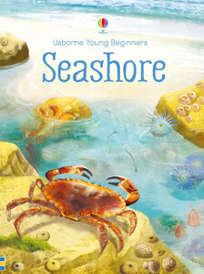 Пізнавальні книги: Seashore - Young beginners