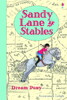 Sandy Lane Stables Dream Pony
