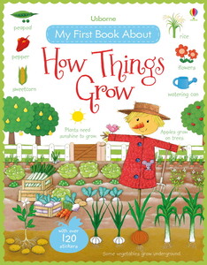 Пізнавальні книги: My first book about how things grow